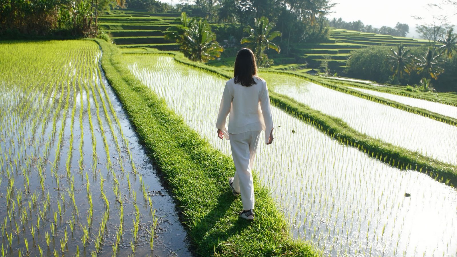 A narrow earth path between flooded rice terraces, a single walker far ahead in linen.